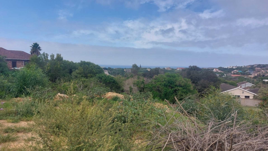 0 Bedroom Property for Sale in Forest Downs Eastern Cape